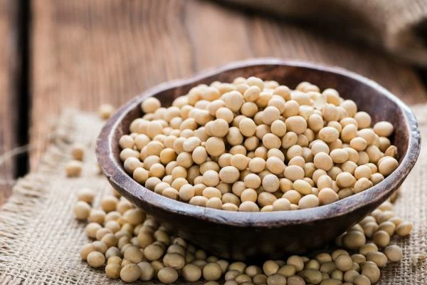 Which Countries Import the Most Soya Beans?